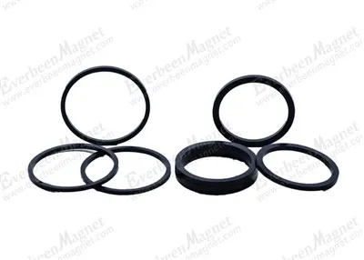 Große ringgebundene Neodym-Magnete
